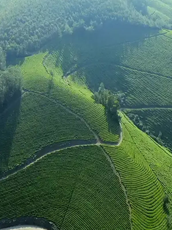 Valparai Trip