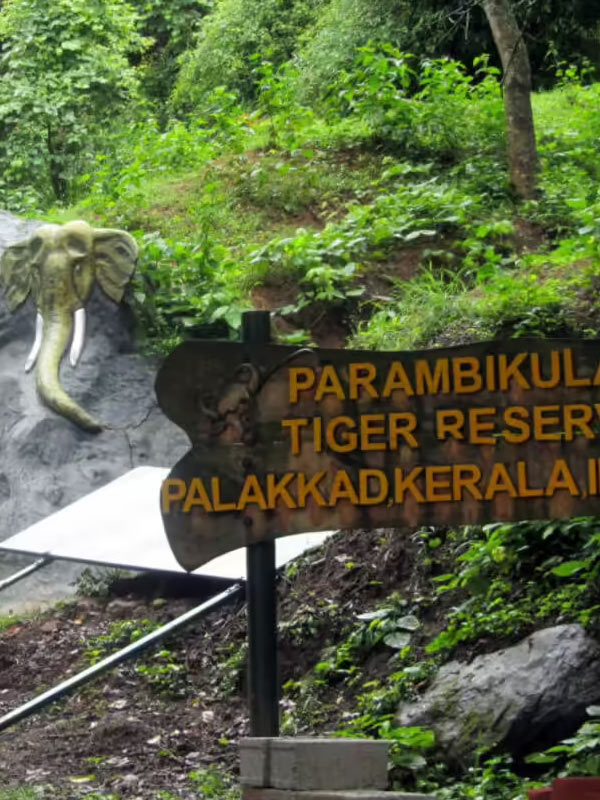Valparai Trip
